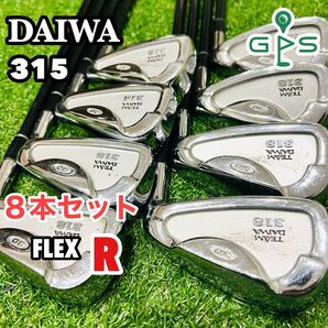 格安 DAIWA 高級アイアンセット 8本 メンズ用 かんたん やさしい 初心者 入門向き