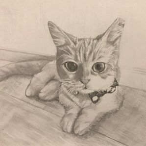 鉛筆で描くペット似顔絵