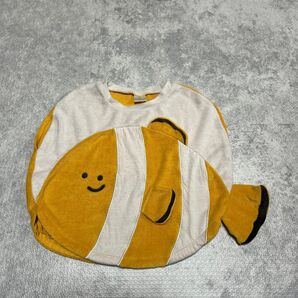カクレクマノミ