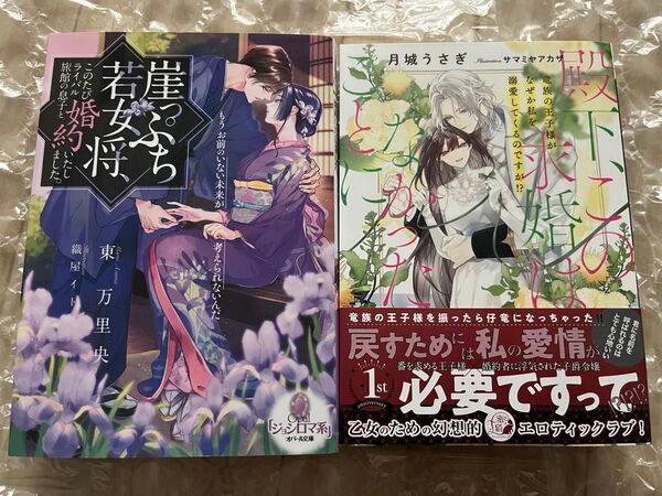 TL小説2冊セット★オパール文庫 東万里央 蜜猫F文庫 月城うさぎ