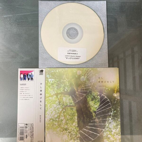 少し背伸びをして CD LUCCI 早期予約特典CD付 美品