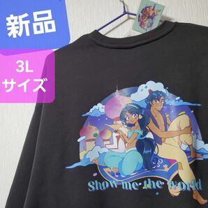 新品 ディズニー MANGAプリンセス スウェット 漫画 アラジン トレーナー ジャスミン マンガ 刺繍 スエット ランプ