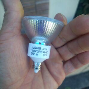 LED電球