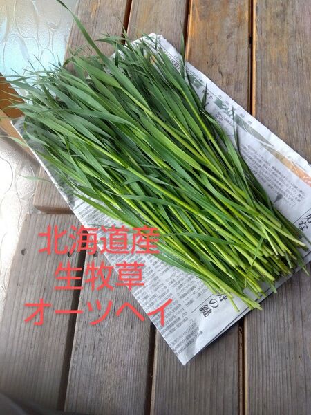 生牧草オーツヘイ★250g★農薬不使用★北海道産