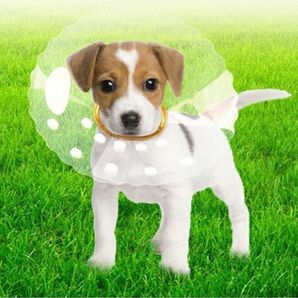 訳あり 犬猫 エリザベスカラー