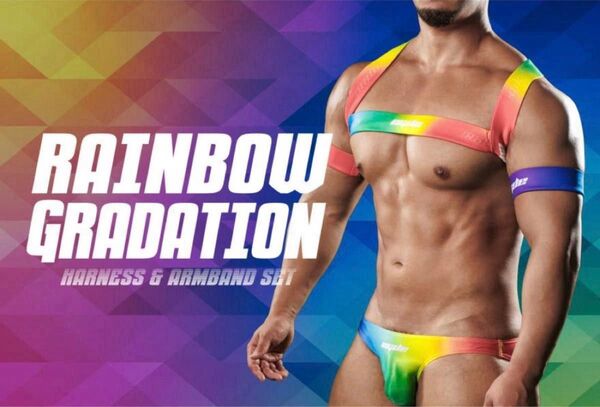 EGDE≪ RAINBOW GRADATION ハーネス S-M&ローライズビキニ Sサイズ