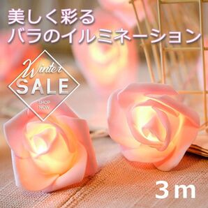 ローズ ストリングライト バラ ライト 白 3m 20個 ピンク