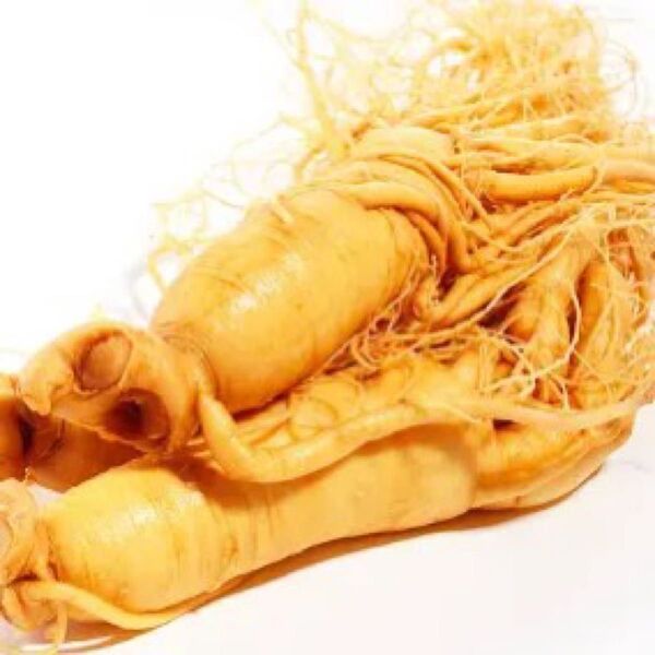 高麗人参(生)