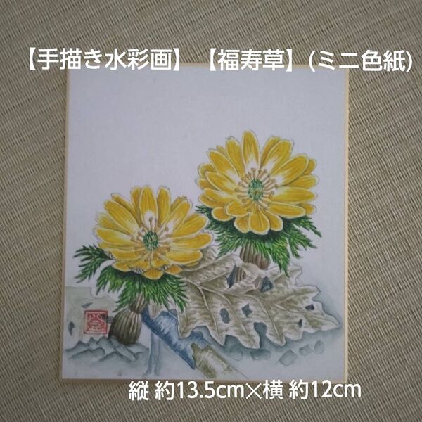 【手描き水彩画】【福寿草(フクジュソウ)】(ミニ色紙)
