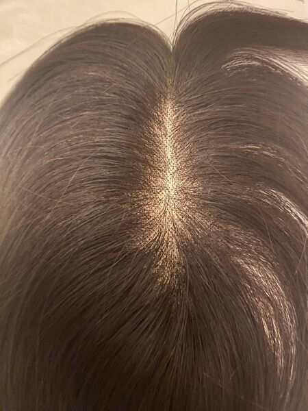 新作!年中快適♪ 高級人毛100% 総手植え分け目カバーヘアピース ブラック