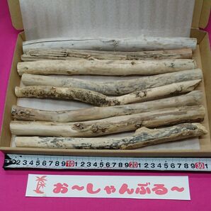 流木セットno、171
