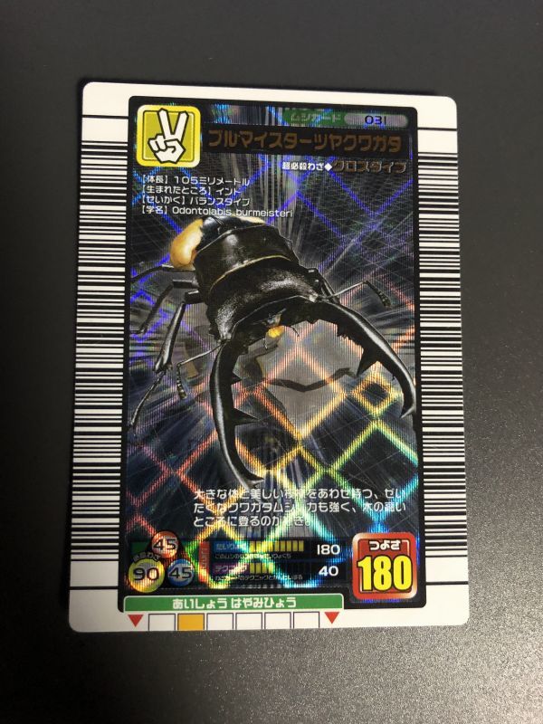 ヤフオク! -「ブルマイスターツヤクワガタ」の落札相場・落札価格