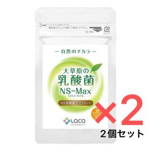 新品!NS乳酸菌/NSmax