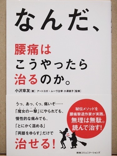 『なんだ、腰痛はこうやったら治るのか。』 ぎっくり腰 慢性痛 小沢章友 小澤直子 ★同梱OK★