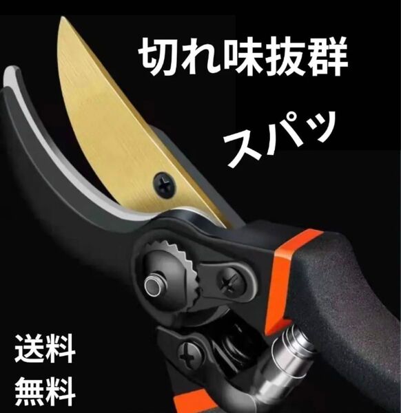 剪定はさみ 枝切り はさみ 剪定鋏 園芸 剪定バサミ ガーデニング 剪定ハサミ 盆栽 果樹