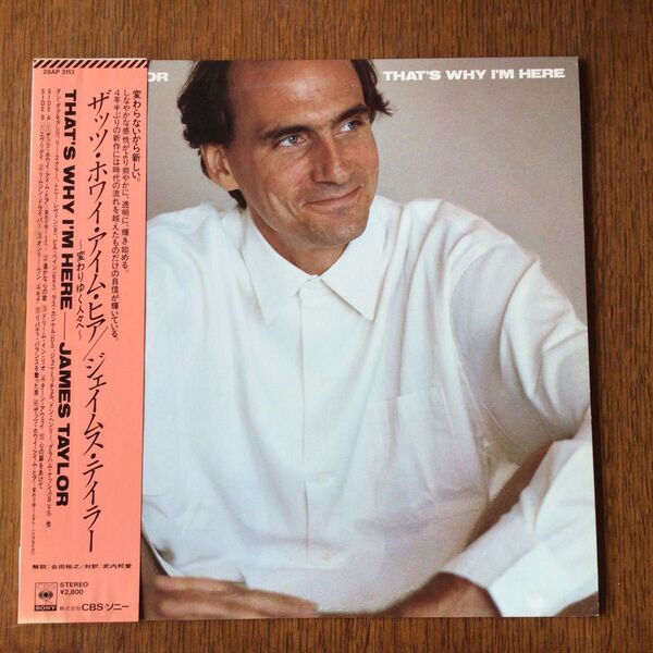 James Taylor 変わりゆく人々へ〜 帯付き、国内見本盤、プロモLP