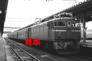 鉄道写真、35ミリネガデータ、02329080002、ED75-151＋50系客車、盛岡駅、1983.07.21、（3008×1994）