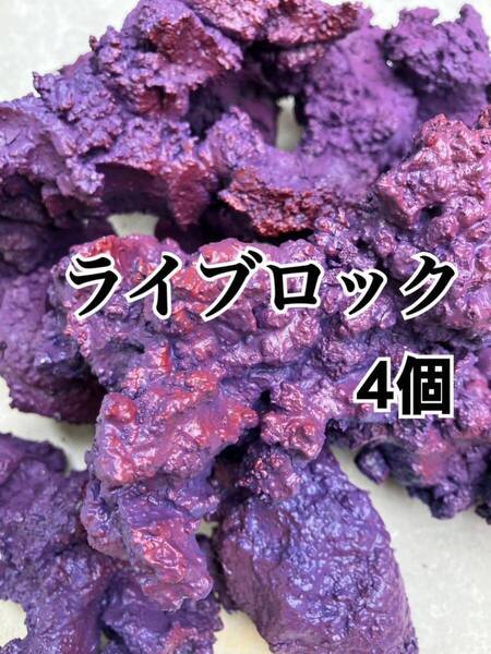 【送料無料】ライブロック 4個(背景、レイアウト、水質、レプリカ、多孔質、バクテリア)