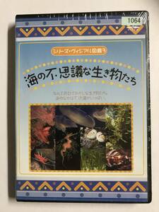 【DVD】海の不思議な生き物たち【レンタル落ち】@69