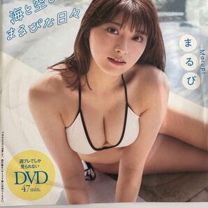 【未開封】まるぴ「海と空とまるぴな日々」週刊プレイボーイ付録DVD 2024