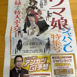 ウマ娘 ニッカン新聞 ウマ娘 付録 ジェンティルドンナ ポスター ドウデュース