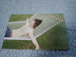 POP109/ I I . after . do / bear tree Anri * not for sale postcard 