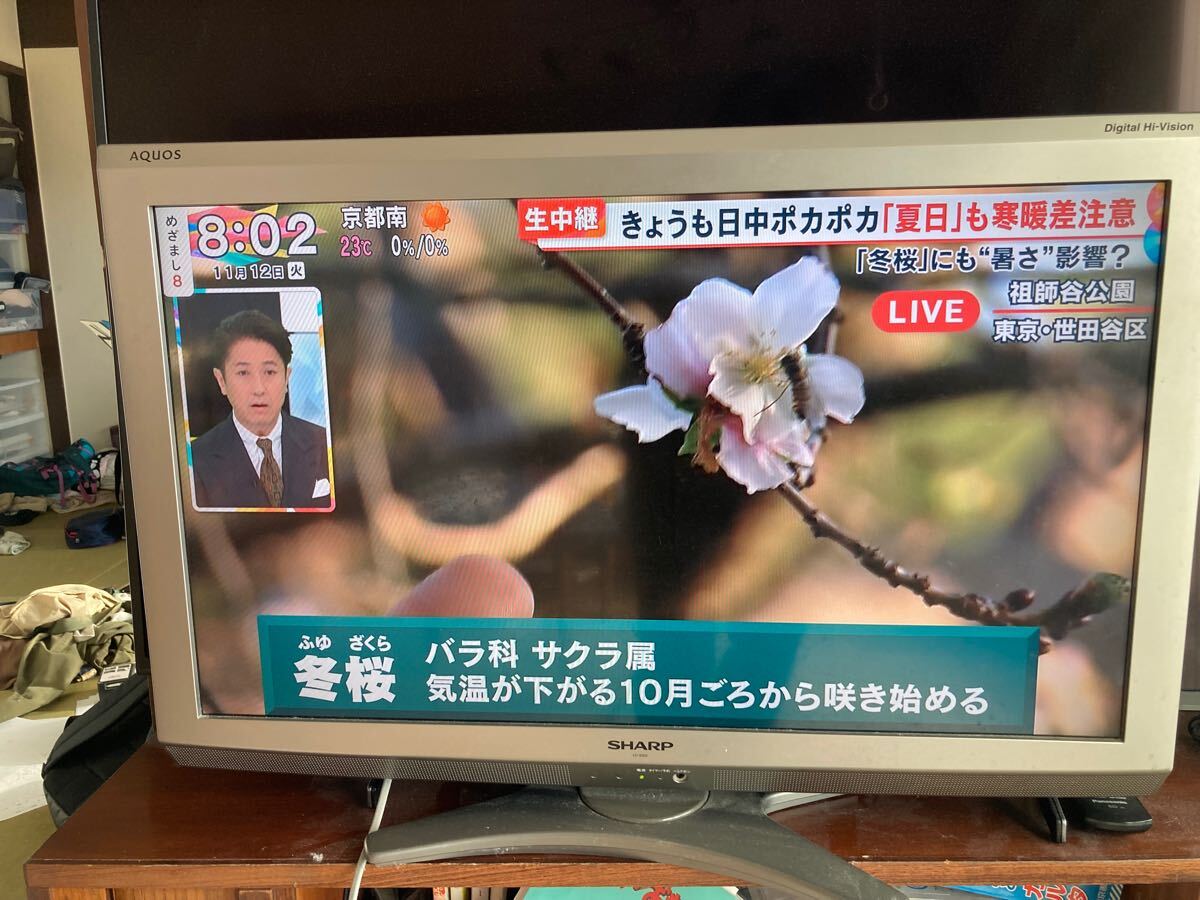 Yahoo!オークション -「亀山モデル テレビ」の落札相場・落札価格 Yahoo!オークション -「亀山モデル テレビ」の落札相場・落札価格