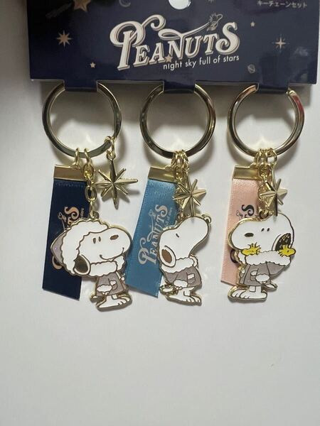 USJ 限定 スヌーピー キーチェーン セット クリスマス