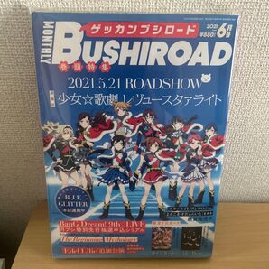 月刊ブシロード 2021年6月号 (KADOKAWA)