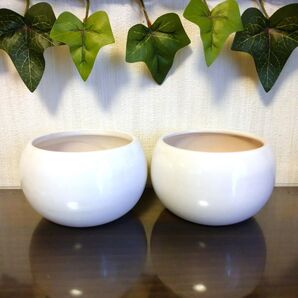 3.5号 2個 白 陶器鉢 丸鉢 植木鉢 盆栽鉢 ミニ盆栽 観葉鉢 山野草鉢