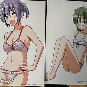 ハヤテのごとく! 単行本初回購入特典ポストカードセット