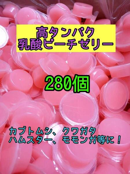 高タンパク乳酸ピーチゼリー17g 280個 昆虫ゼリー プロゼリー ドルクスゼリー オオクワ カブトムシ 小動物 モモンガ ハムスター