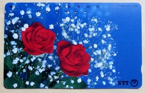 テレカ・使用済み・105度　赤いバラ(紅薔薇)、NTT発行・標準品　穴:6孔　裏面・刷り跡　経年不明　バラ好きな方向けのカードです　送料63円