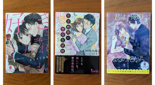 TL小説 ◇ 今さら好きと言われても / 天才教授の懸命な求婚 / 君は俺の妻になるのだから