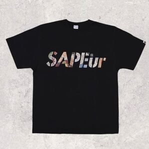 新品未使用■SAPEur2024 YAMATO TAKERU 月岡芳年 ロゴ L