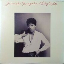 JUNICHI INAGAKI （稲垣潤一） / SHYLIGHTS （シャイライツ） (LP)_画像1