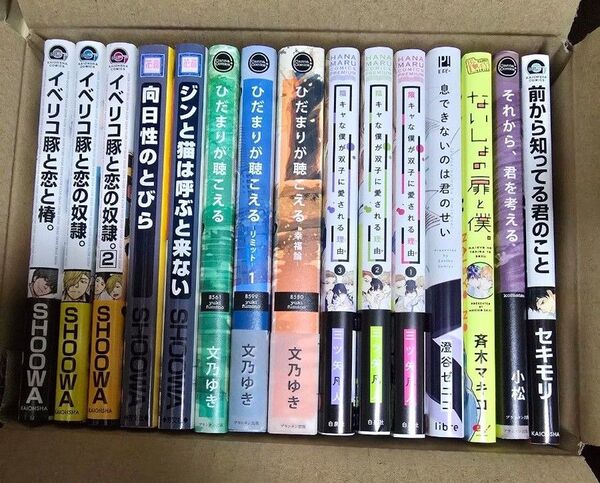 BLコミック 纏め 15冊 ①