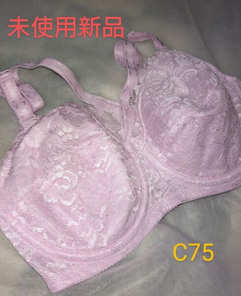 【未使用新品】補正下着 ブラジャー シャンデール