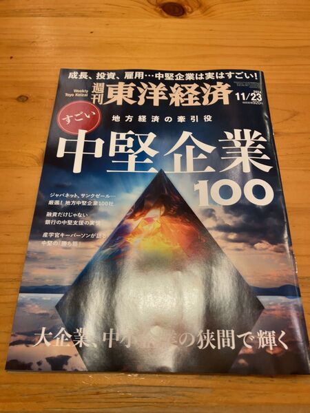週刊東洋経済 2024年11月23日号 すごい中堅企業100社 地方経済の牽引役 東京メトロ 日産がなくなる日