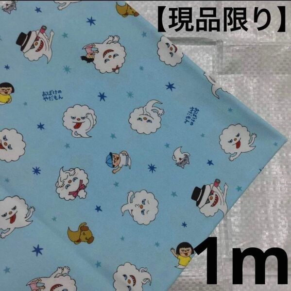 No.121-2【現品限り】コットン 100% オックス生地 ハギレ