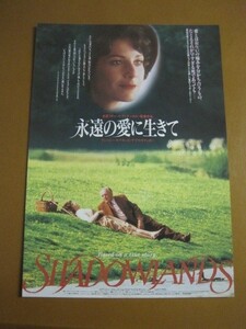 永遠の愛に生きて Shadowlands /リチャード・アッテンボロー監督/アンソニー・ホプキンス/デブラ・ウィンガー/映画チラシ 2