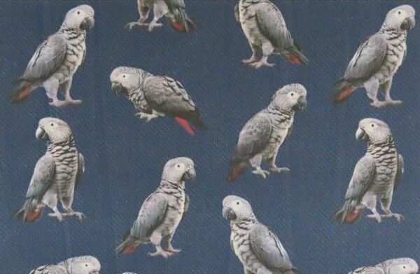 【ゆきちゃん限定】X1892-1 ヨウム 鳥 デニム紺 布 1m