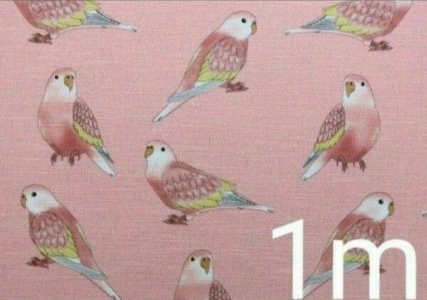 【ゆきちゃん限定】X358-2 "アキクサインコ ルビノー" ピンク 布 1m