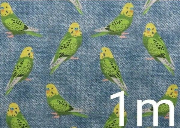 【ゆきちゃん限定】X187-1 セキセイインコ×デニム イラスト緑 ブルー 1m