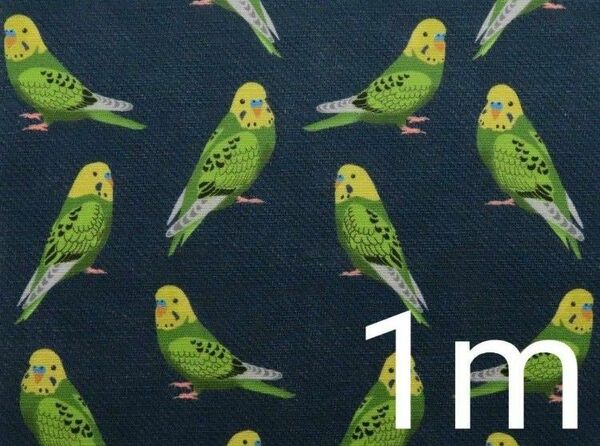 【ゆきちゃん限定】X186-1 セキセイインコ×デニム イラスト 緑 紺 1m