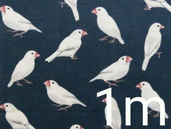 【ゆきちゃん限定】X165-7 文鳥×デニム リアル調 白文鳥 紺 布 1m