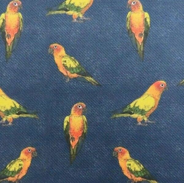【ゆきちゃん限定】X702-1 コガネメキシコインコ デニム 紺 布 1m