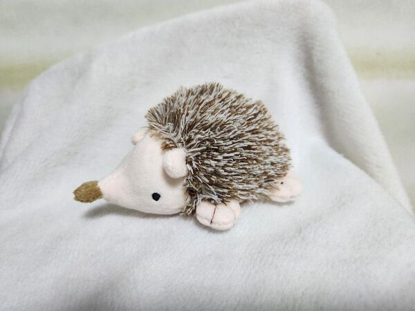 ハリネズミ ぶるぶるぬいぐるみ