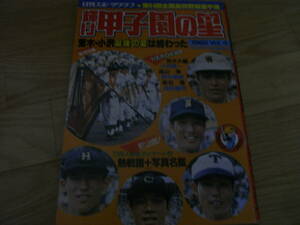 輝け甲子園の星1982年Vol.4 第64回全国高校野球選手権大会 池田初優勝　●Ａ