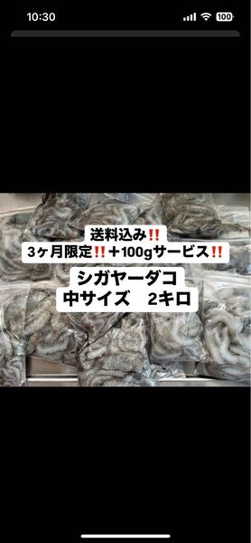 シガヤーダコ【中サイズ】2kg